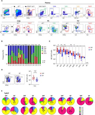 Commensal Microbiome Expands Tγδ17 Cells in the Lung and Promotes Particulate Matter-Induced Acute Neutrophilia